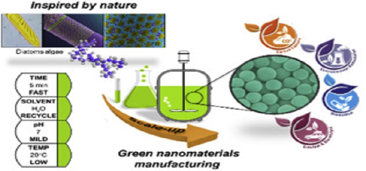 environmentally friendly luminous nanoparticles using teabags