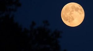 Super Blue Moon Is Coming