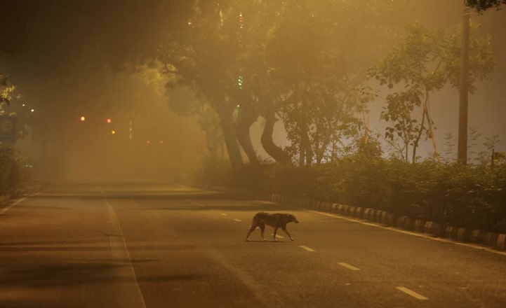 Smog in New Delhi intensifies as field fires flare